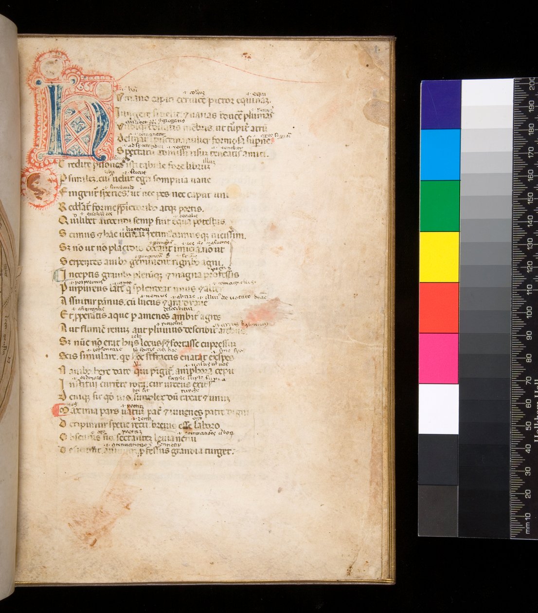 Ms 315. Horace, Ars Poetica and Epistulae, f.1r. Decorated Initial [N] in Blue and Red Diapered Infill and Surrounding Penwork in Red by Italian School
