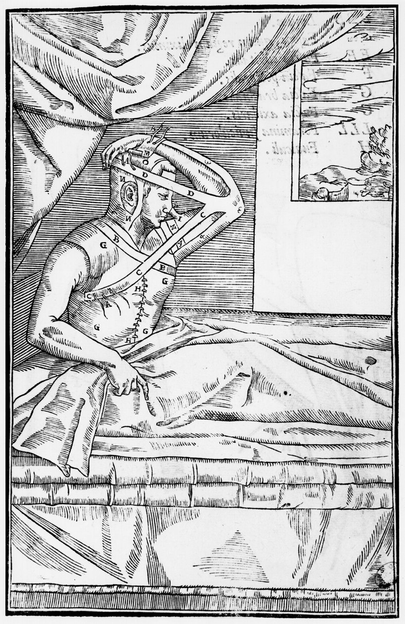 Reconstructive surgery on the nose, illustration from De curtorum ...
