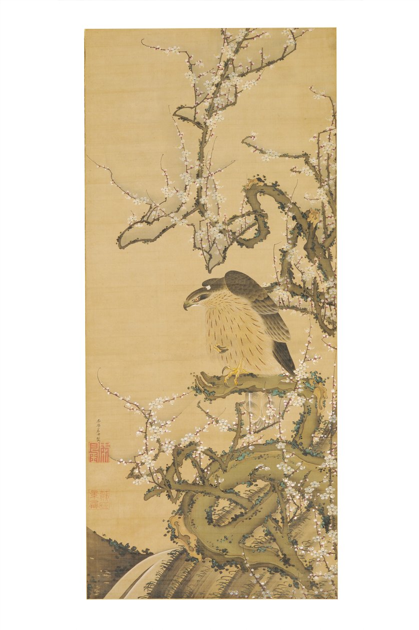 Hawk on a Blossoming Plum Branch by Ito Jakuchu