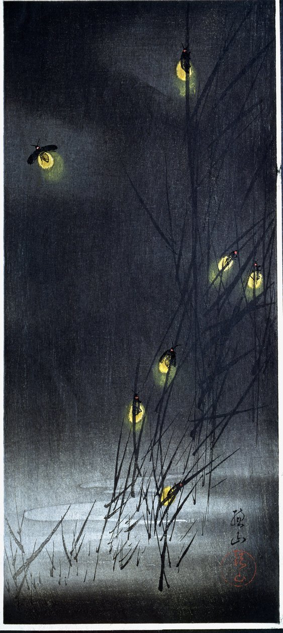Fireflies in Summer Night by Ito Sozan