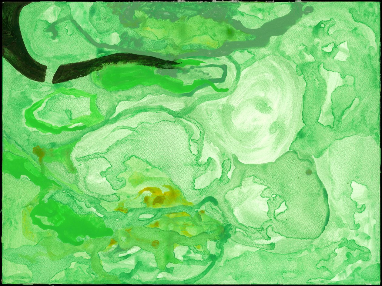 Kensington Gardens Series: The Pool of Chaos by Izabella Godlewska de Aranda