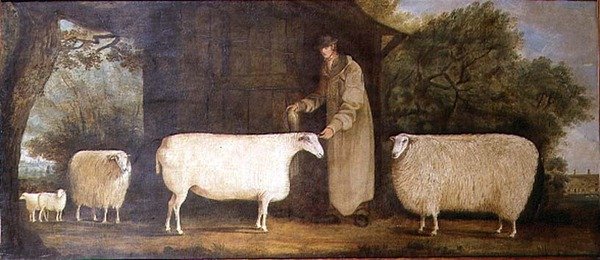 A Shepherd with his Flock by J.D. Curtis