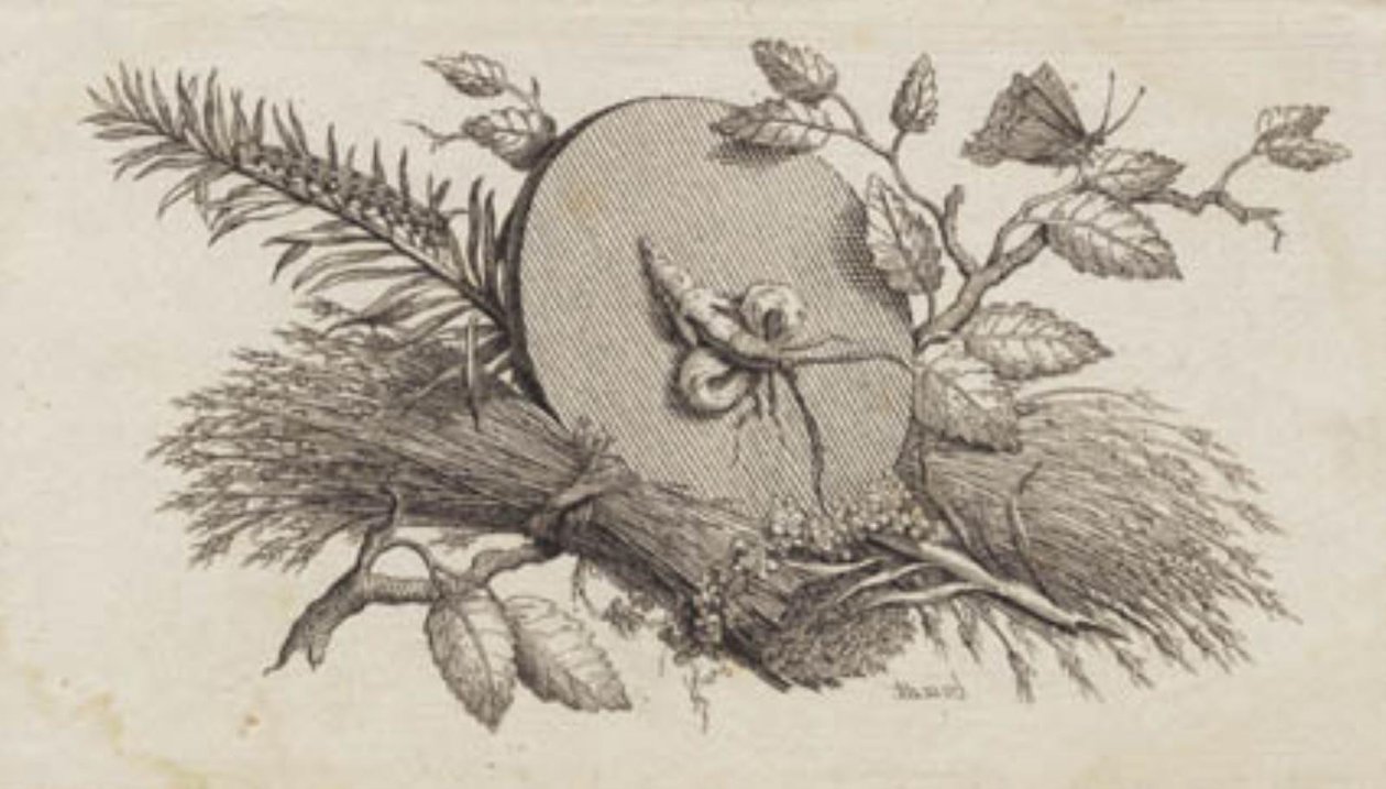 A Circular Inclined Disc Among Leaves and Insects by J.F. Clemens