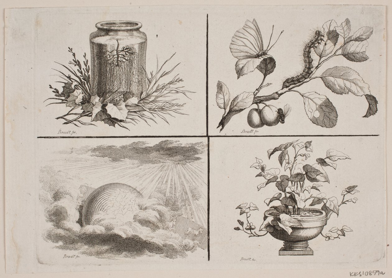 Vignettes for Bonnet