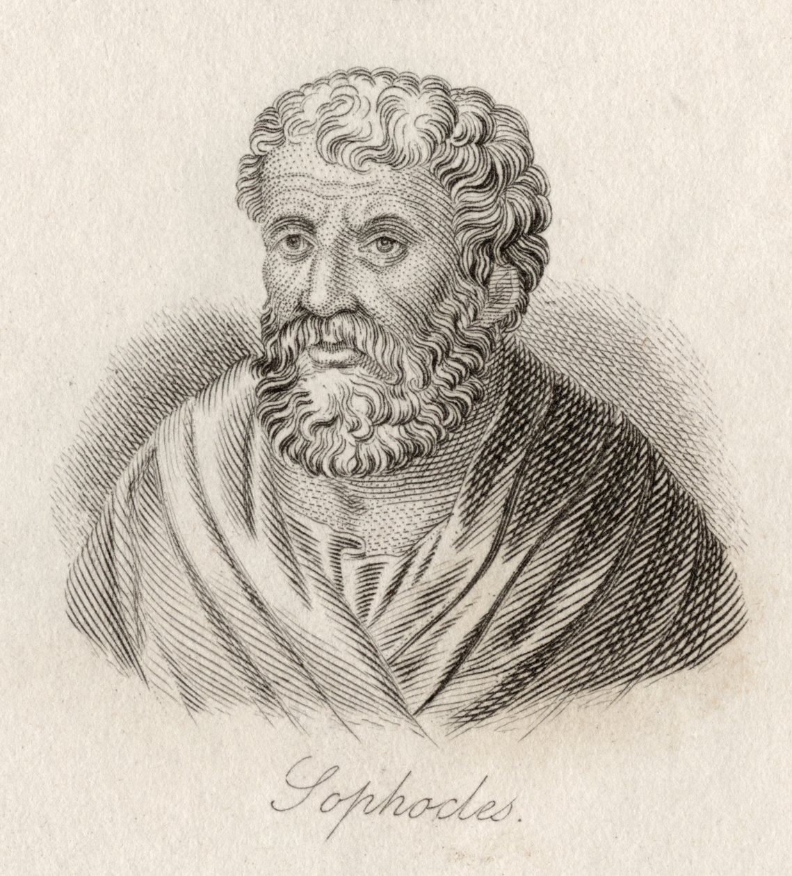Sophocles by J.W. Cook