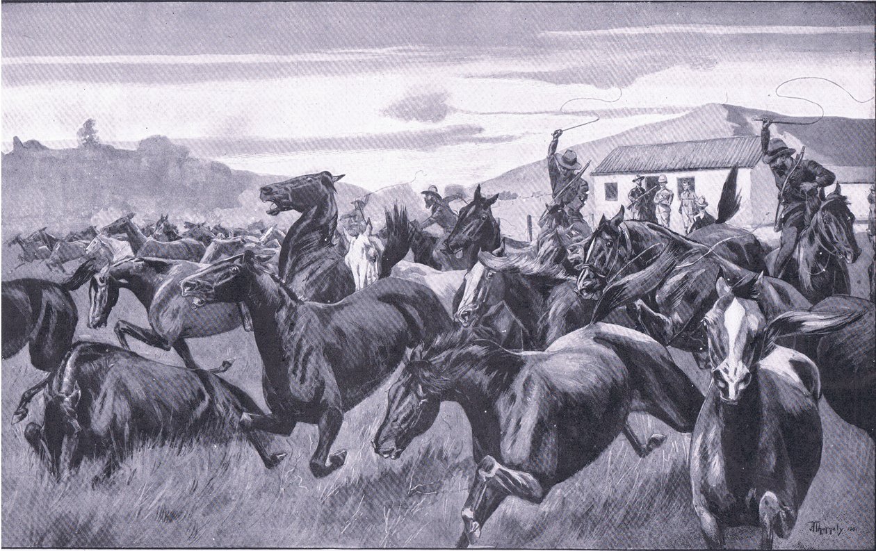 Boers Raiding the Remount Depot at Braamfontein, from After Pretoria: The Guerilla War by J. H. Thornely