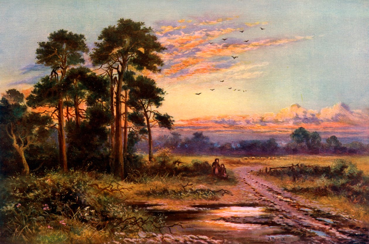 Autumn Sunset by J Maurice