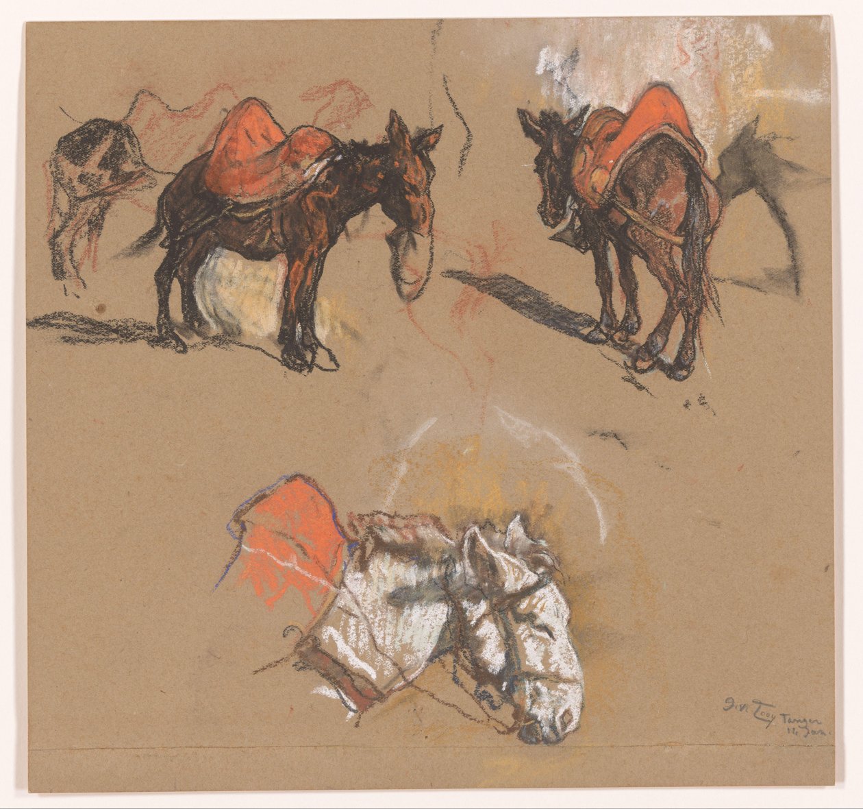 Studies of Donkeys and a Mule at the Grand Market in Tangier by Jac van Looij (signed by artist)