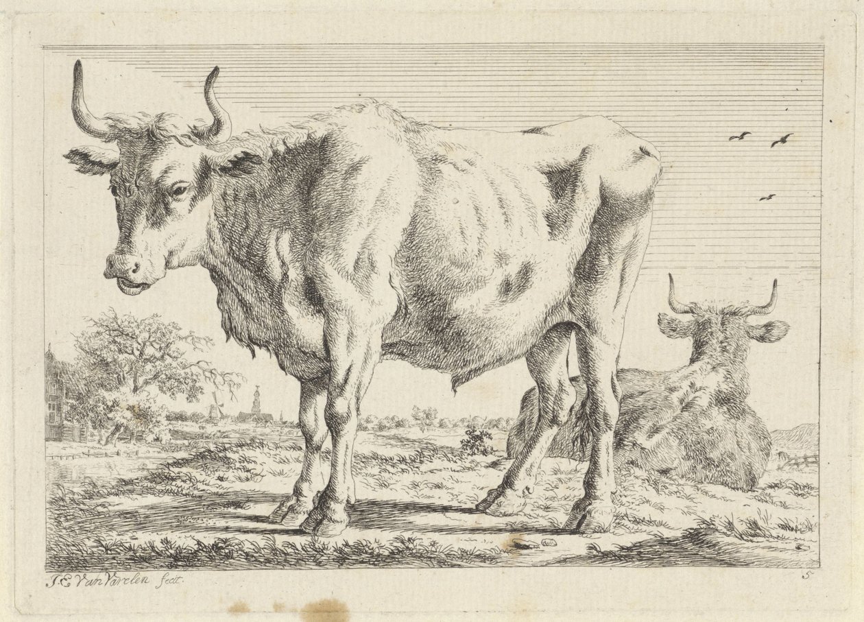 Standing and Lying Ox Six Prints after Drawings by Various Masters (series title) by Jacob Elias van Varelen