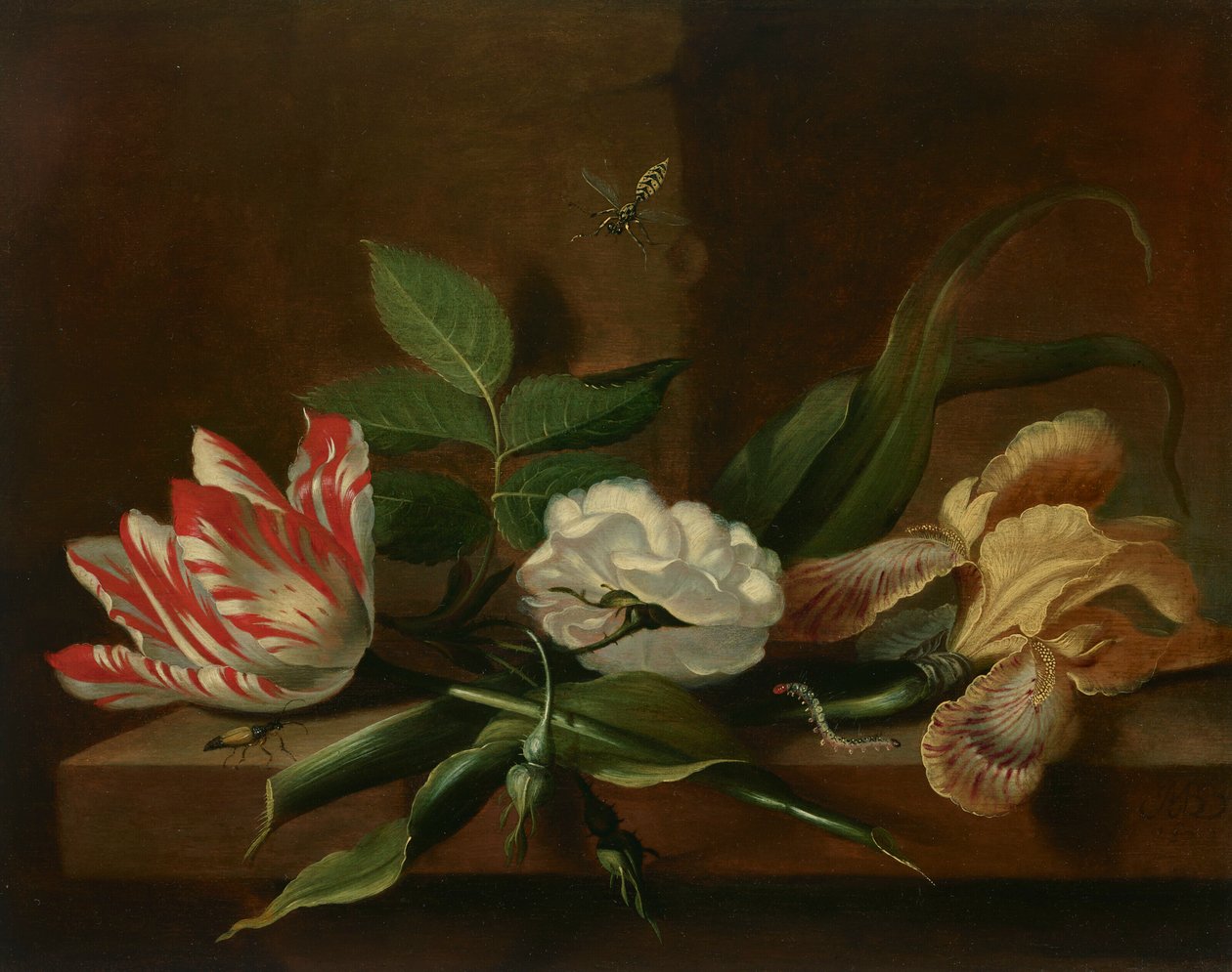 A Parrot Tulip, a Rose, an Iris and Insects on a Wooden Table by Jacob Marrel