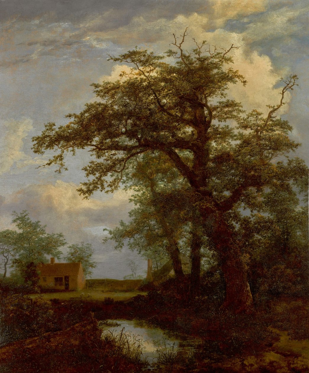 A Wooded Landscape with an Oak Tree, Pond and Houses Beyond by Jacob van Ruisdael