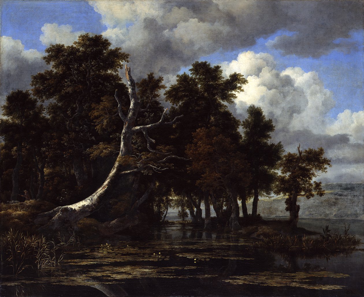 Oaks at a Lake with Waterlilies by Jacob van Ruisdael