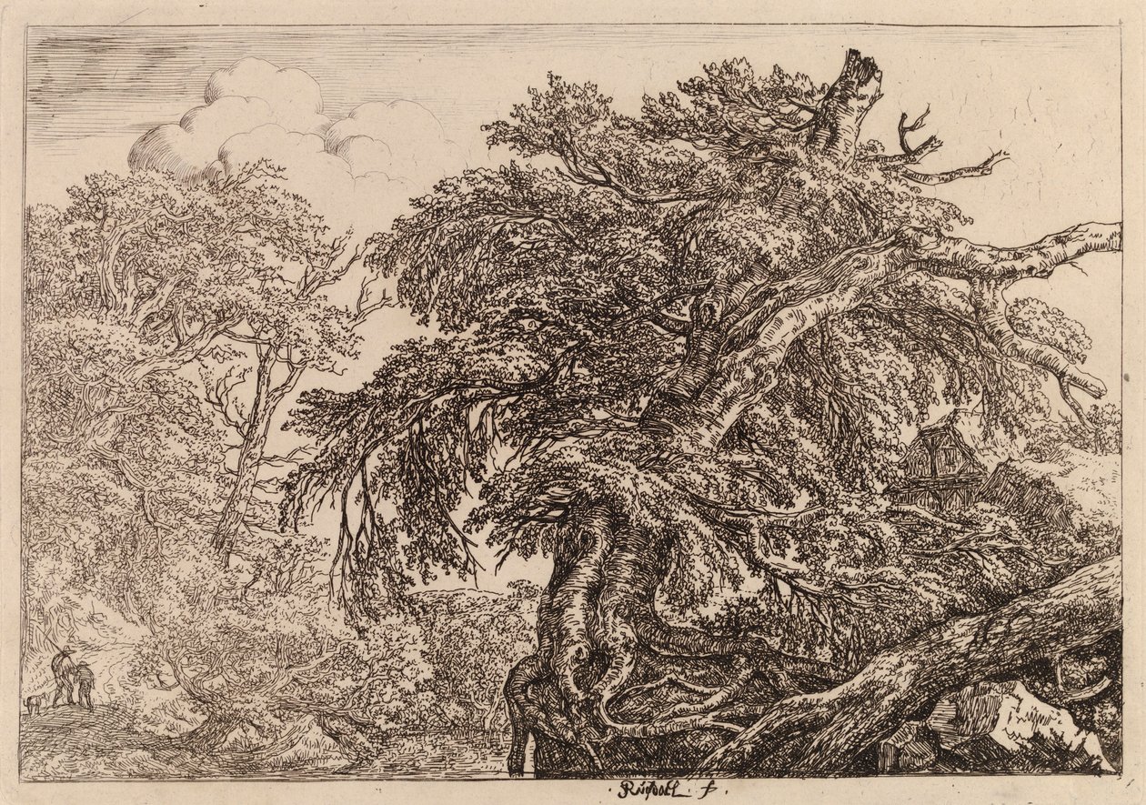 Old Tree by Jacob van Ruisdael