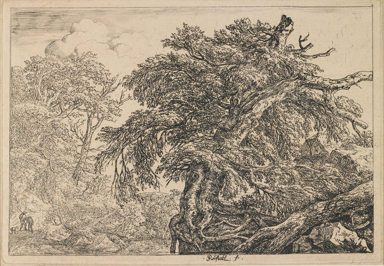 The Great Beech Tree with Two Men and a Dog by Jacob van Ruisdael