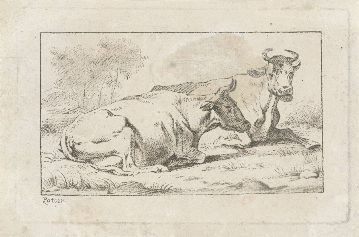Two Lying Cows by Jacobus Buys