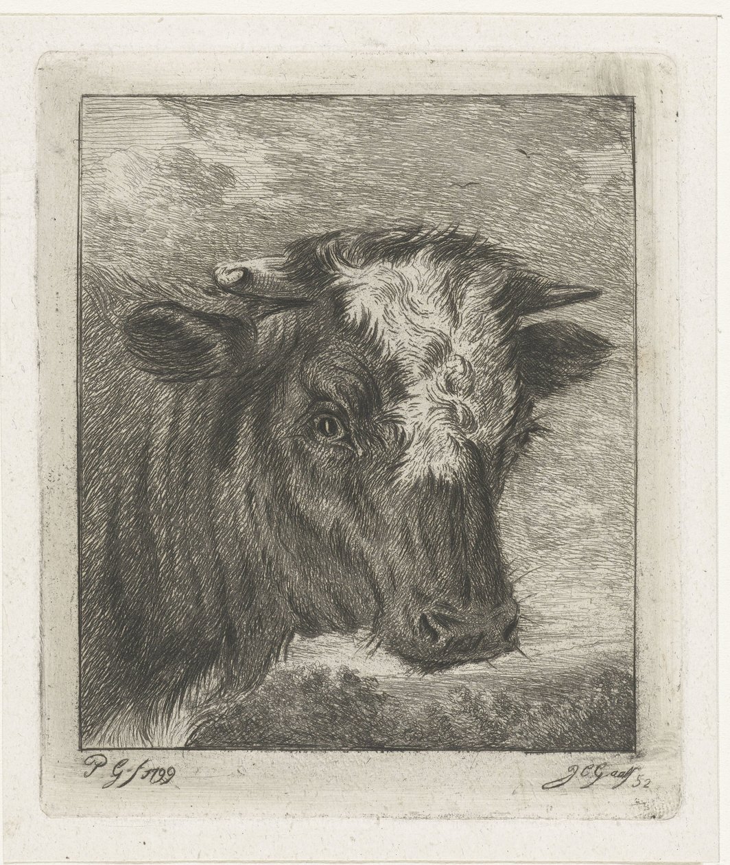Head of a Cow with White Spot by Jacobus Cornelis Gaal