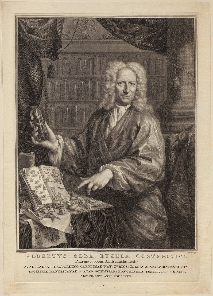 Portrait of Albert Seba, Pharmacist and Famous Naturalist Collector by Jacobus Houbraken