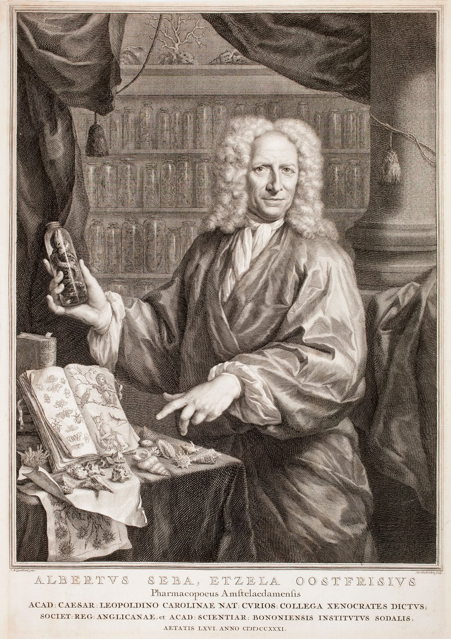 Portrait of Albertus Seba, after Jan Maurits Quinkhard by Jacobus Houbraken