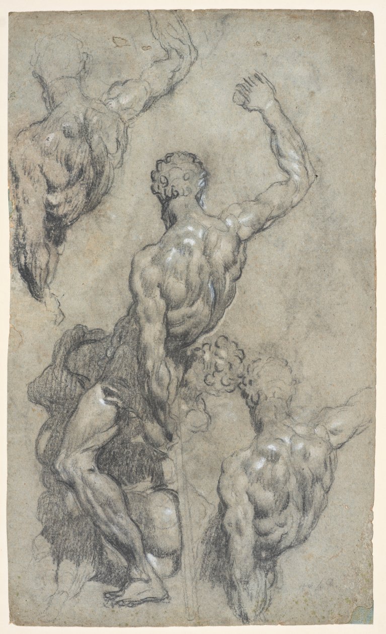 Studies of Michelangelo’s 