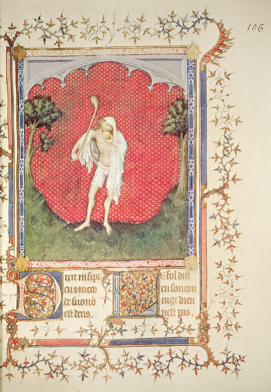 The fool, from the 