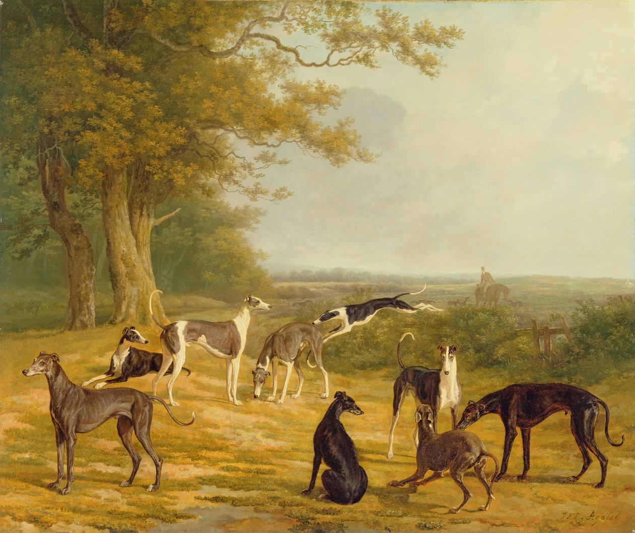 Nine Greyhounds in a Landscape by Jacques-Laurent Agasse