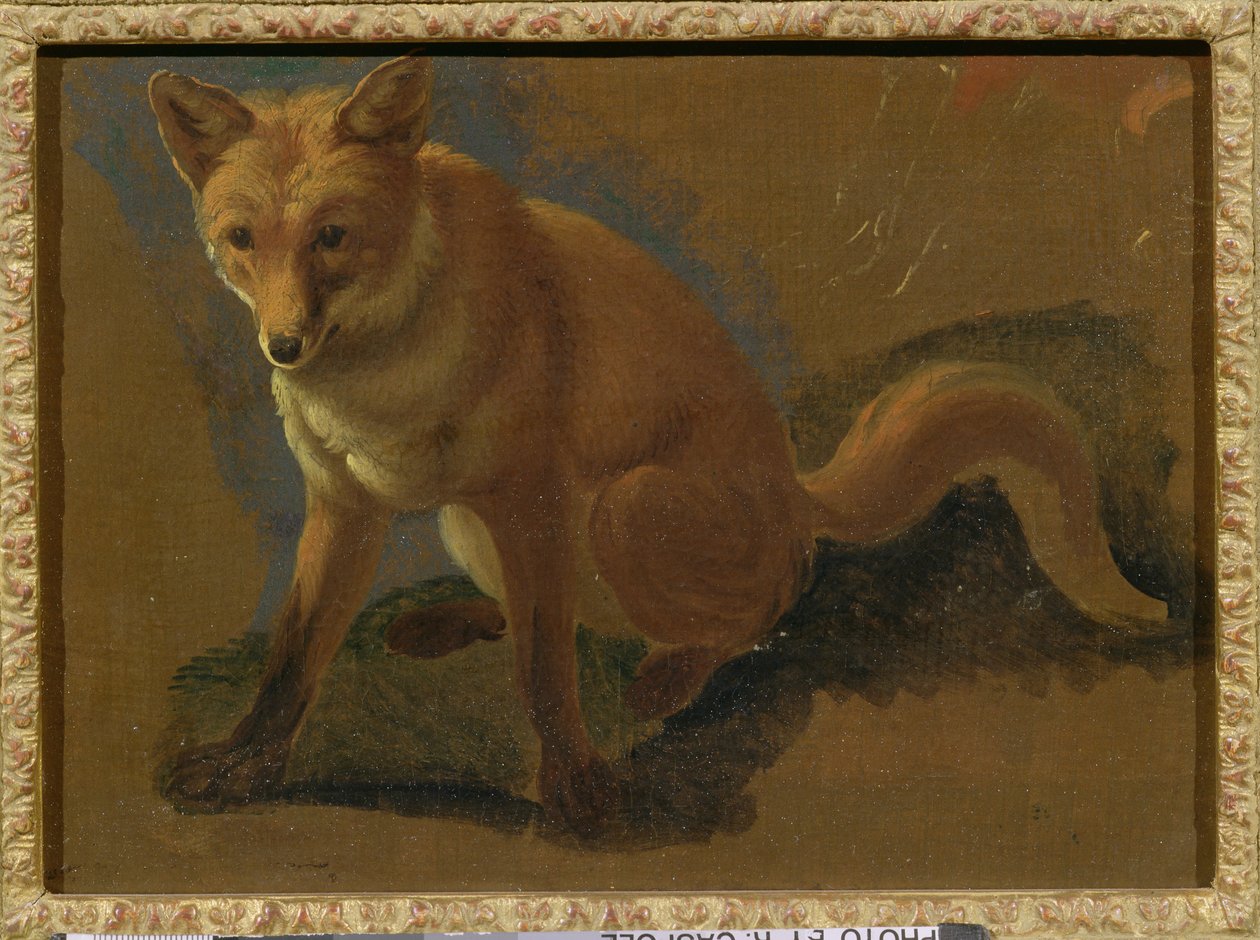 Study of a Fox by Jacques-Laurent Agasse