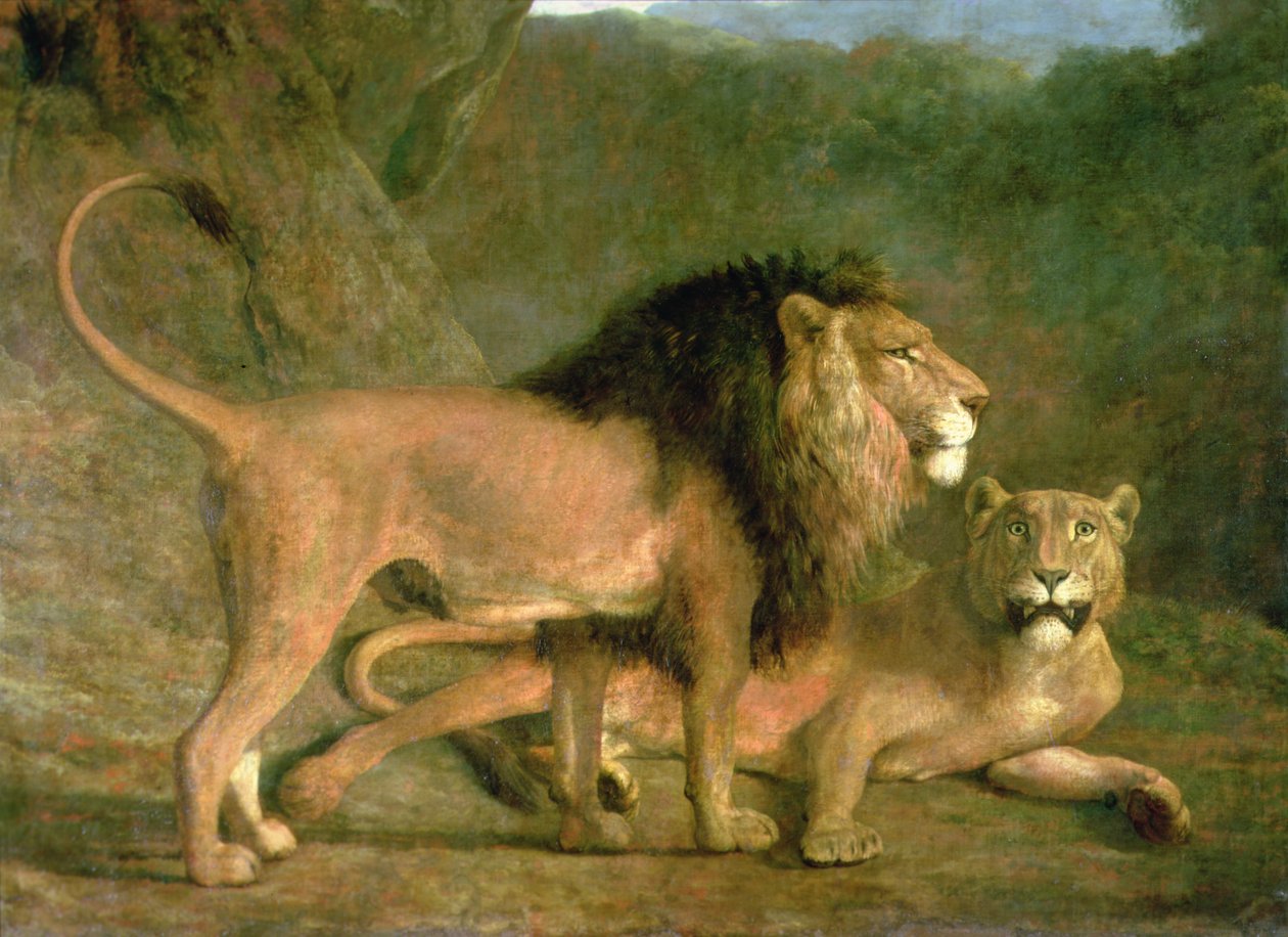 A Lion and a Lioness in a Rocky Valley by Jacques Laurent Agasse
