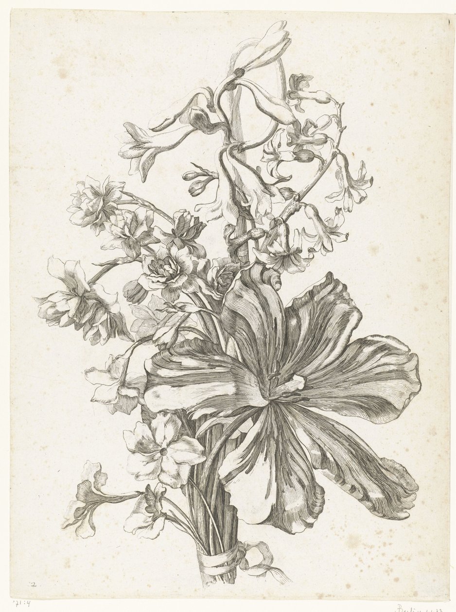 Bouquet with a tulip, a hyacinth, brodiaea, and daffodils (series title: Various Flowers Arranged in Bouquets) by Jacques Bailly (I)
