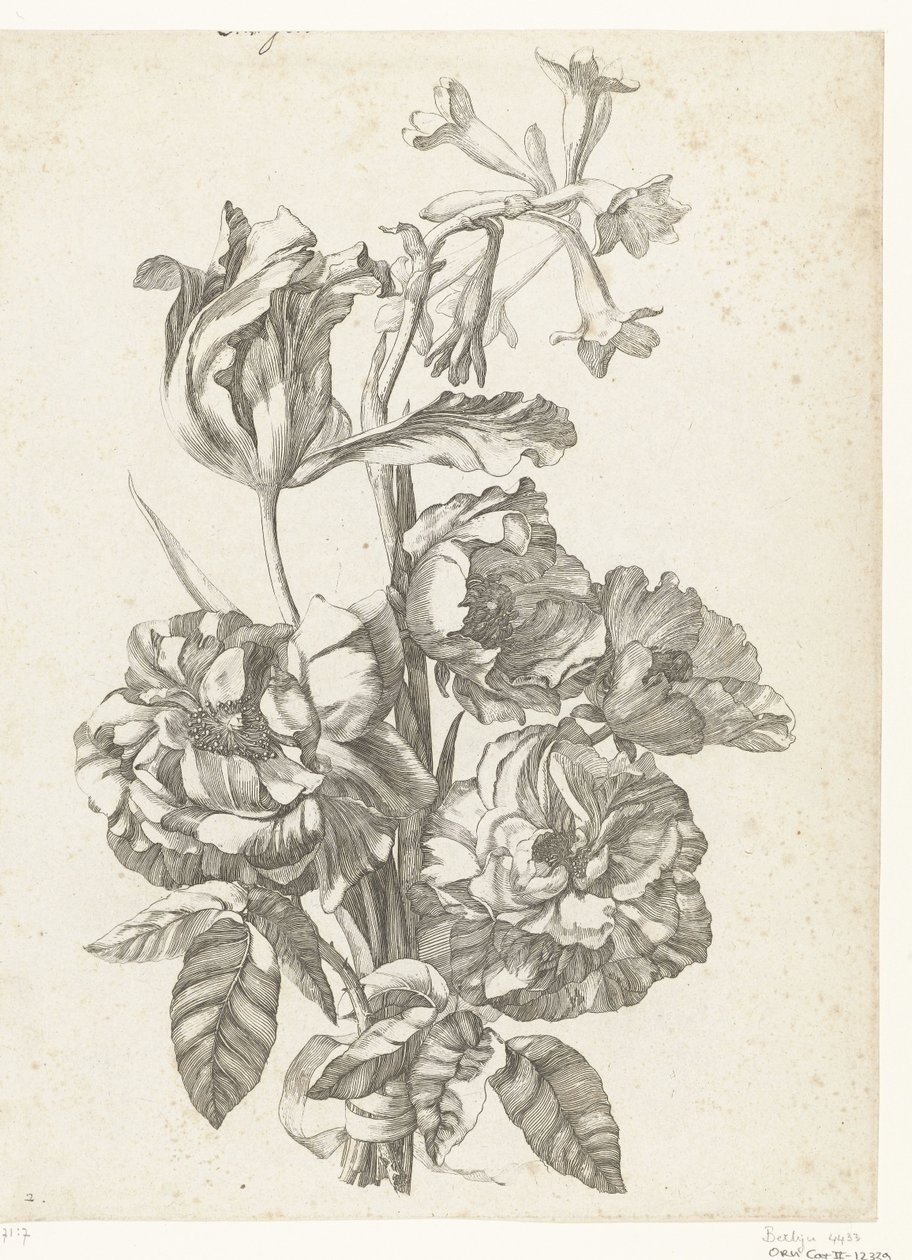 Bouquet with Peonies, a Tulip, and a Brodiaea (Diverses Fleurs mises en Boucquets) by Jacques Bailly (I)