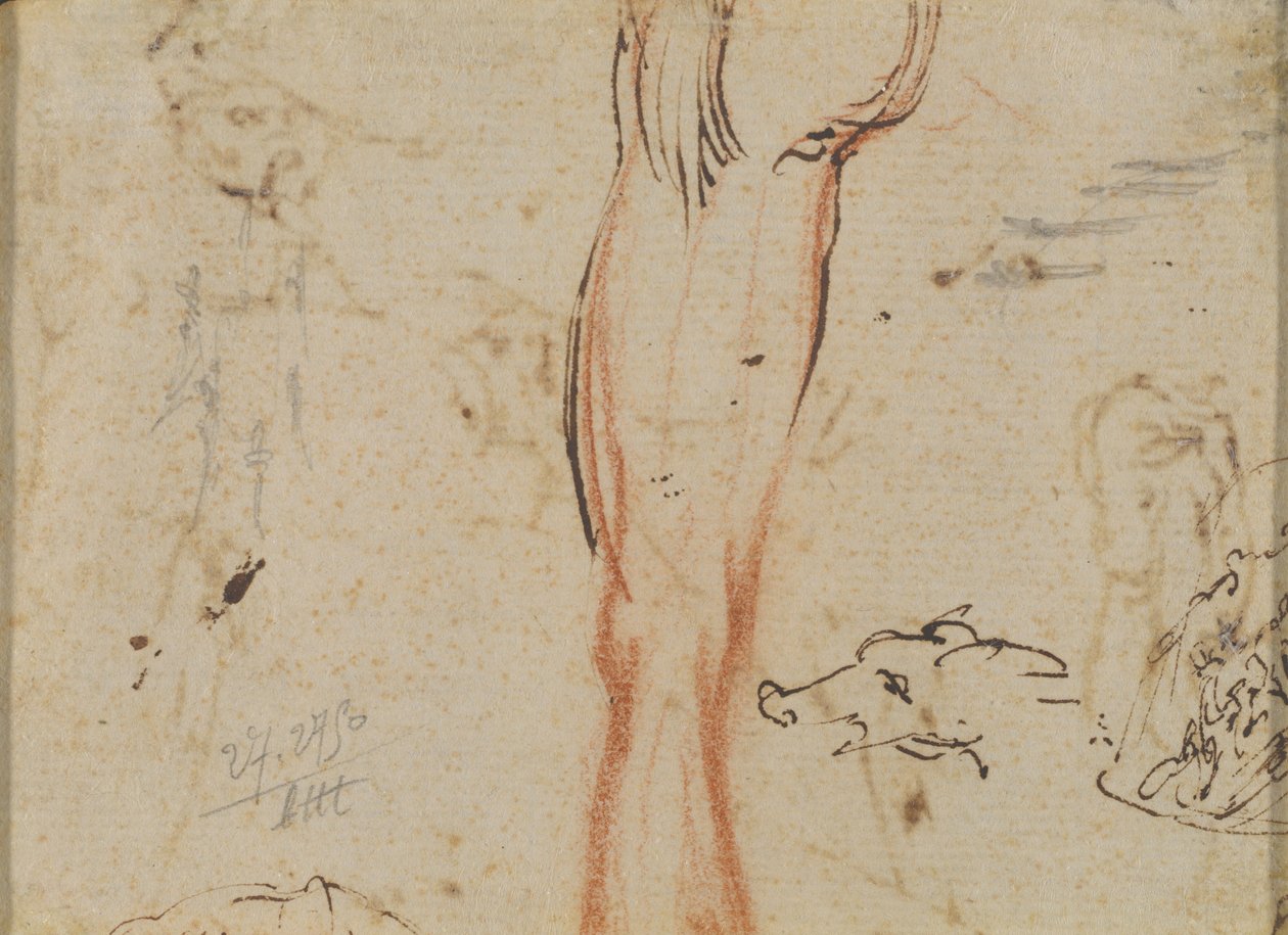 A Leg and a Pig