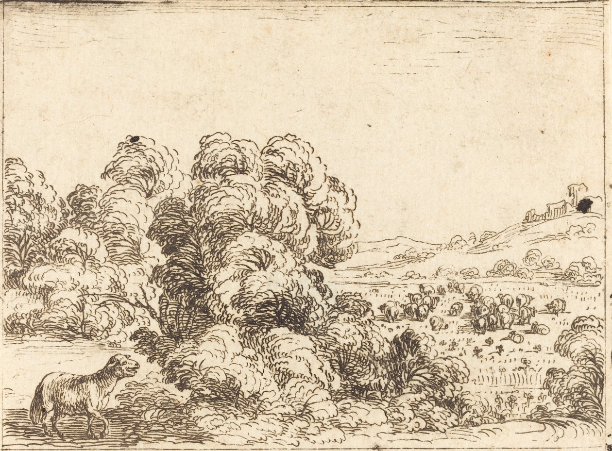 Sheep Calling Lamb by Jacques Callot: Buy fine art prints