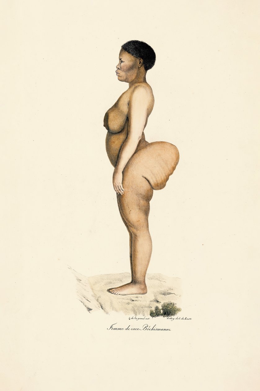 Boschman Race Woman in Profile by Jacques Christophe Werner