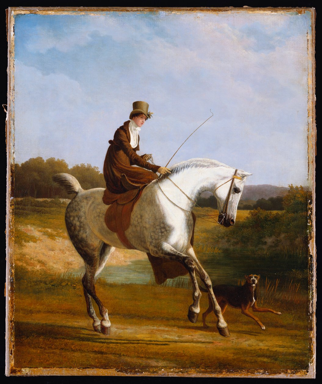 Miss Cazenove on a Grey Hunter, a Dog running Alongside by Jacques Laurent Agasse