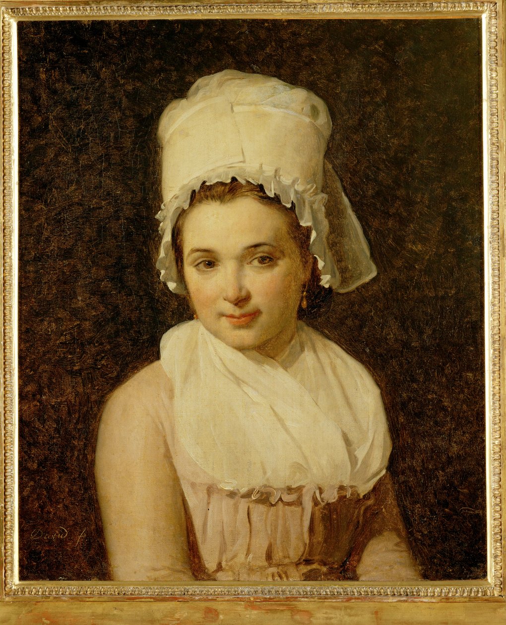 Catherine-Marie-Jeanne Tallard, Wife of Francois Lamy, Mayor of Sougere/Yonne by Jacques Louis David