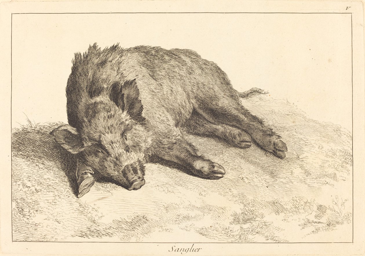 Wild Boar Lying Down, Head to the Left by Jacques Philippe Le Bas and Jean Eric Rehn after Jean Baptiste Oudry