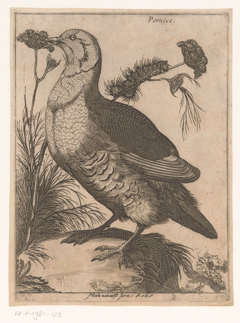 Partridge by Jacques de Fornazeris