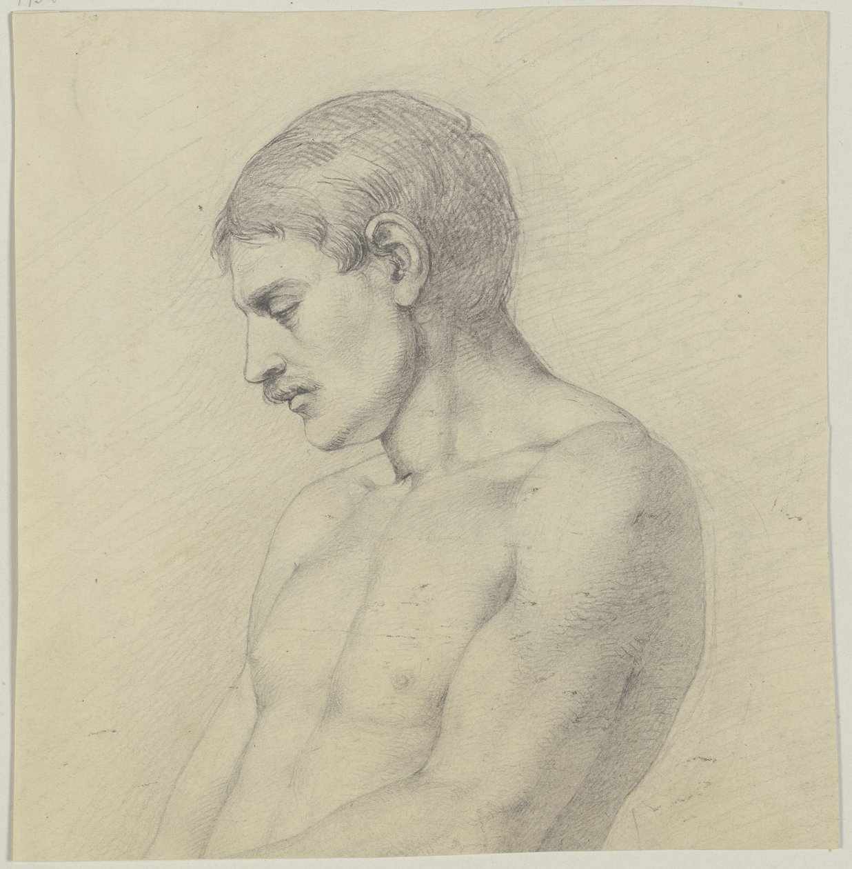 Male Half-Nude in Profile to the Left by Jakob Becker
