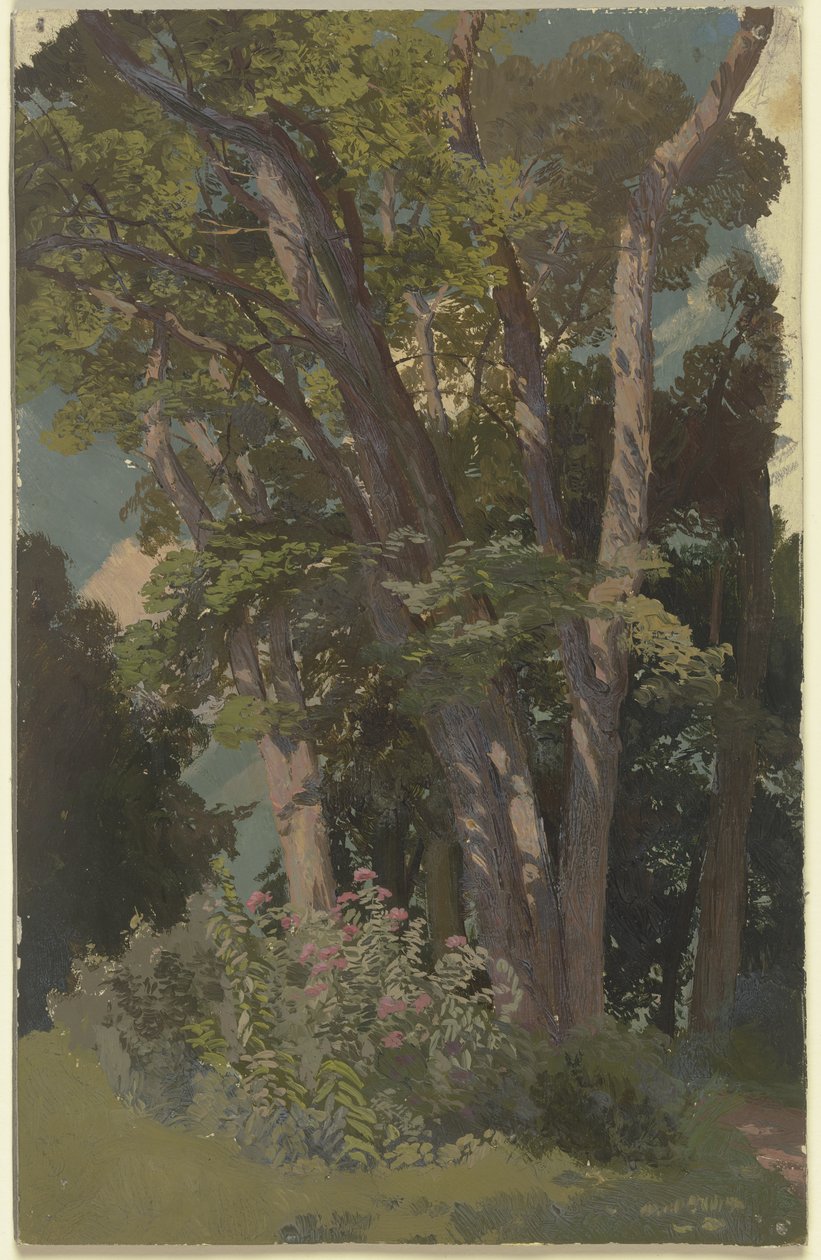 Park Study, Glade by Jakob Becker