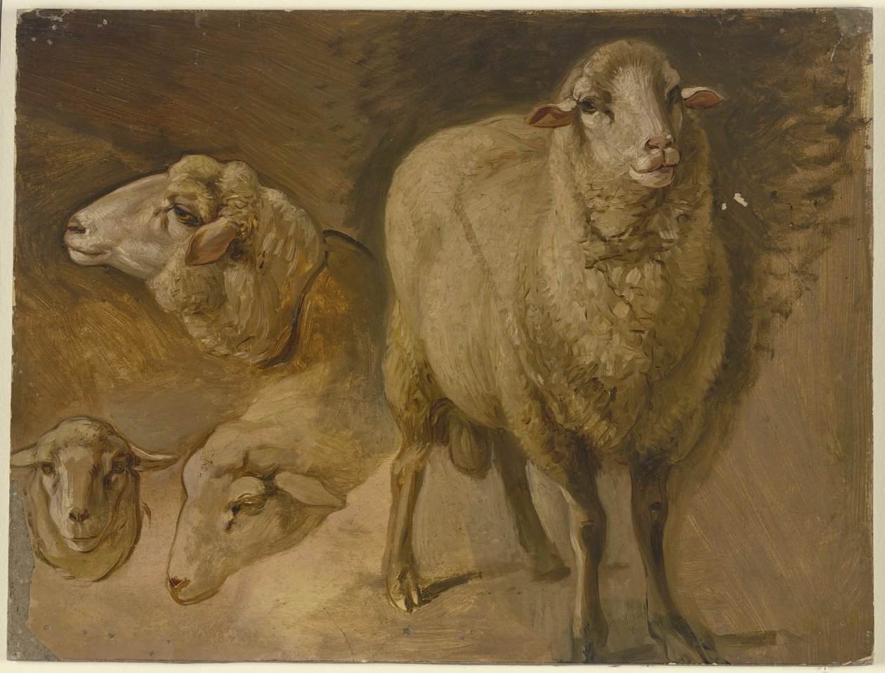 Sheep by Jakob Becker