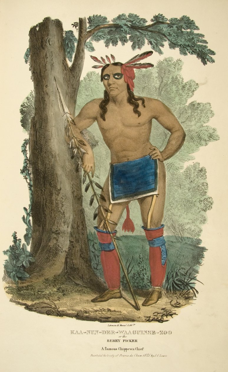 Kaa-nun-der-waaguinse-zoo or the Berry Picker by James Otto Lewis