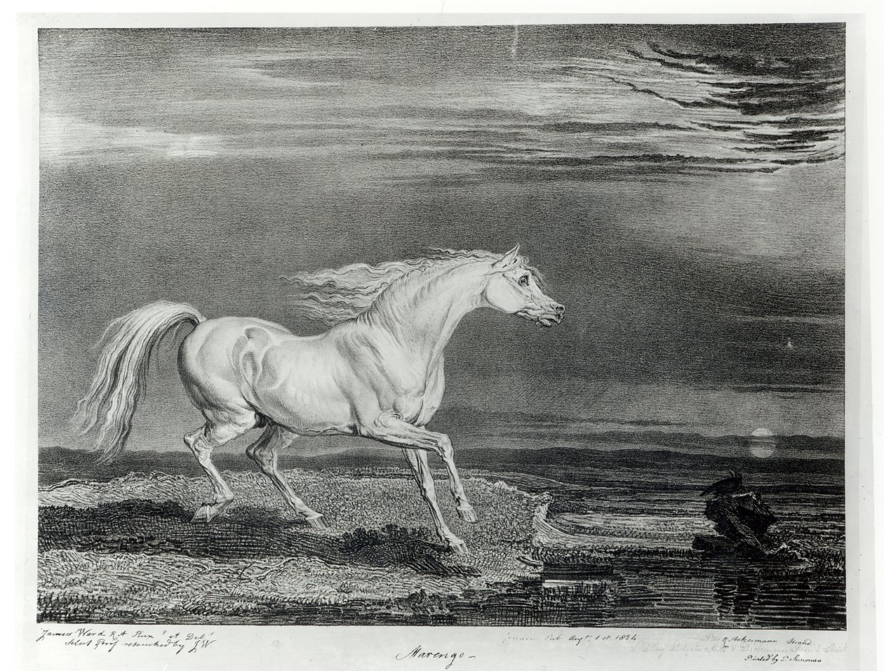 Marengo, engraved by the artist, pub. by R. Ackermann by James Ward