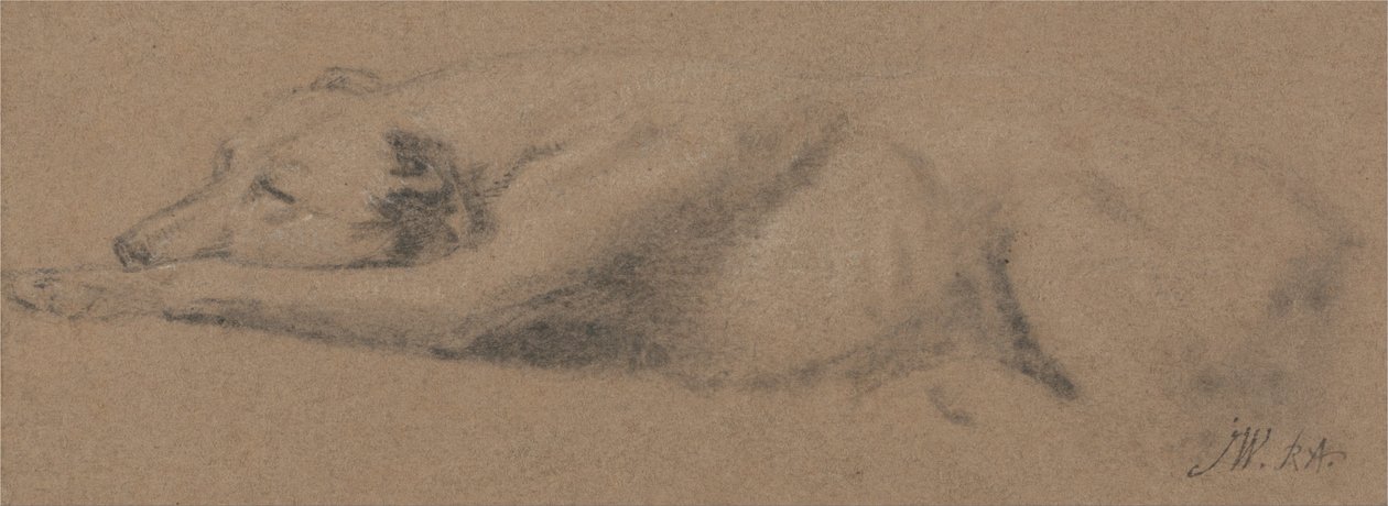 Study of a Sleeping Dog by James Ward