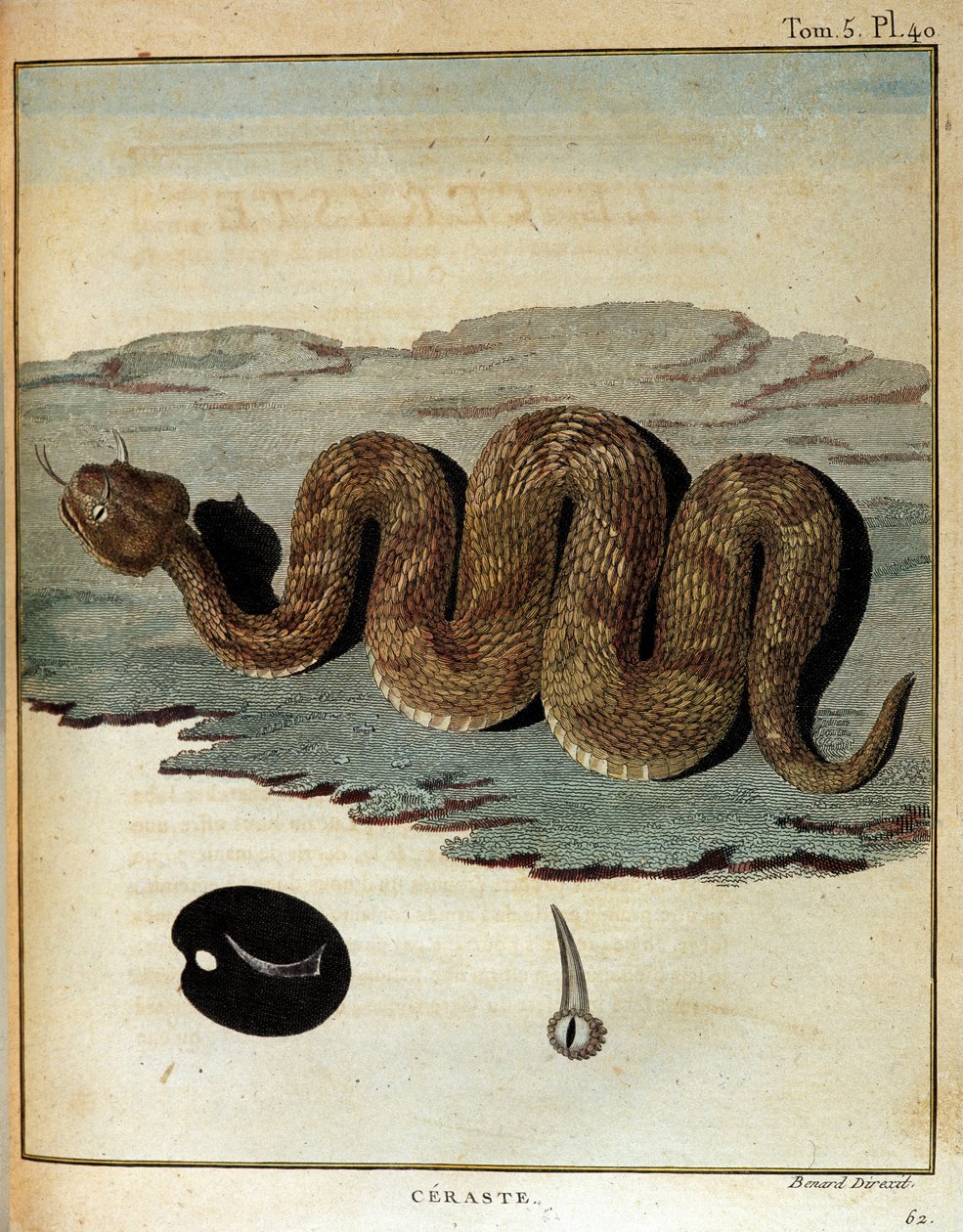 Serpent - in Journey to Nubia and Abyssinia undertaken to discover the sources of the Nile during the years 1768 to 1772, by James Bruce, Paris by James Bruce