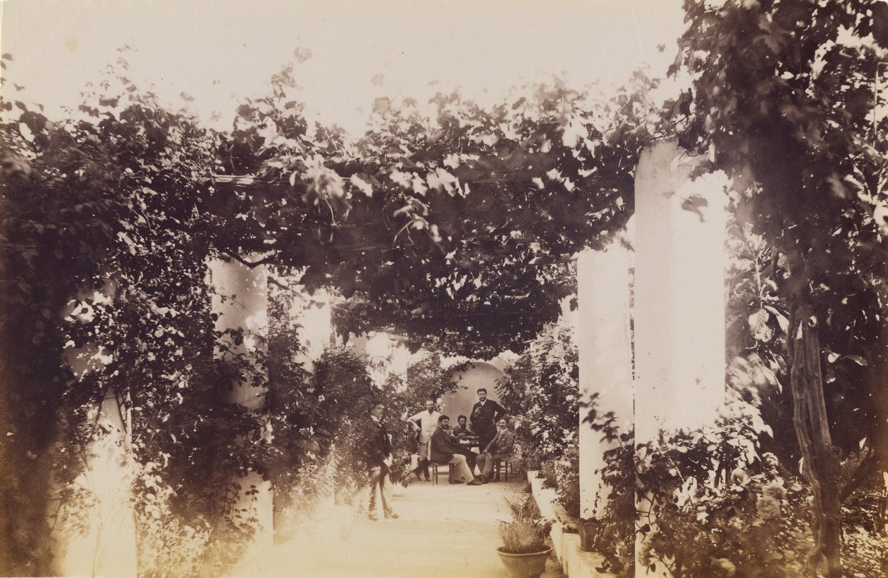 Garden - Capri by James Anderson