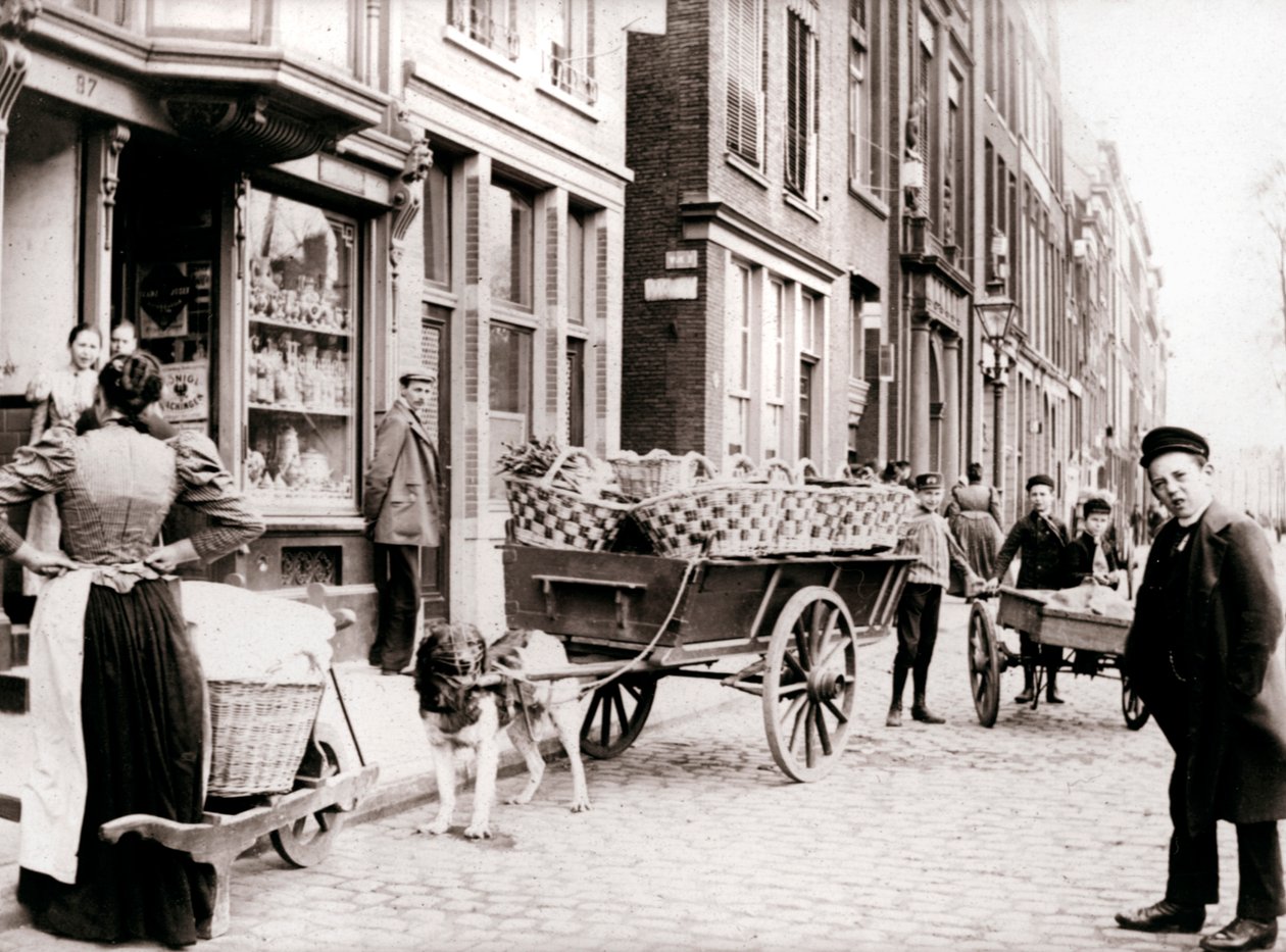 Dogcart, Antwerp, 1898 by James Batkin: Buy fine art print