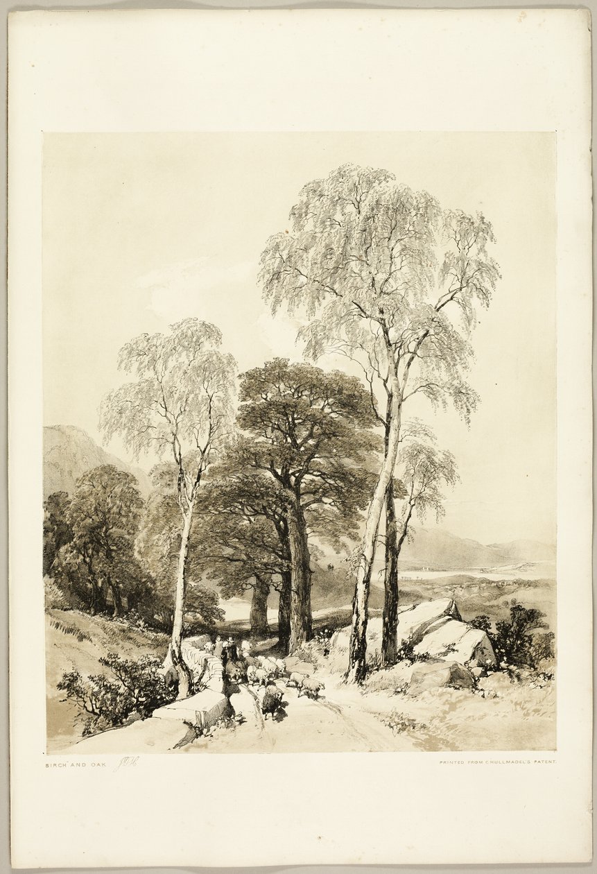 Birch and Oak, from The Park and the Forest by James Duffield Harding