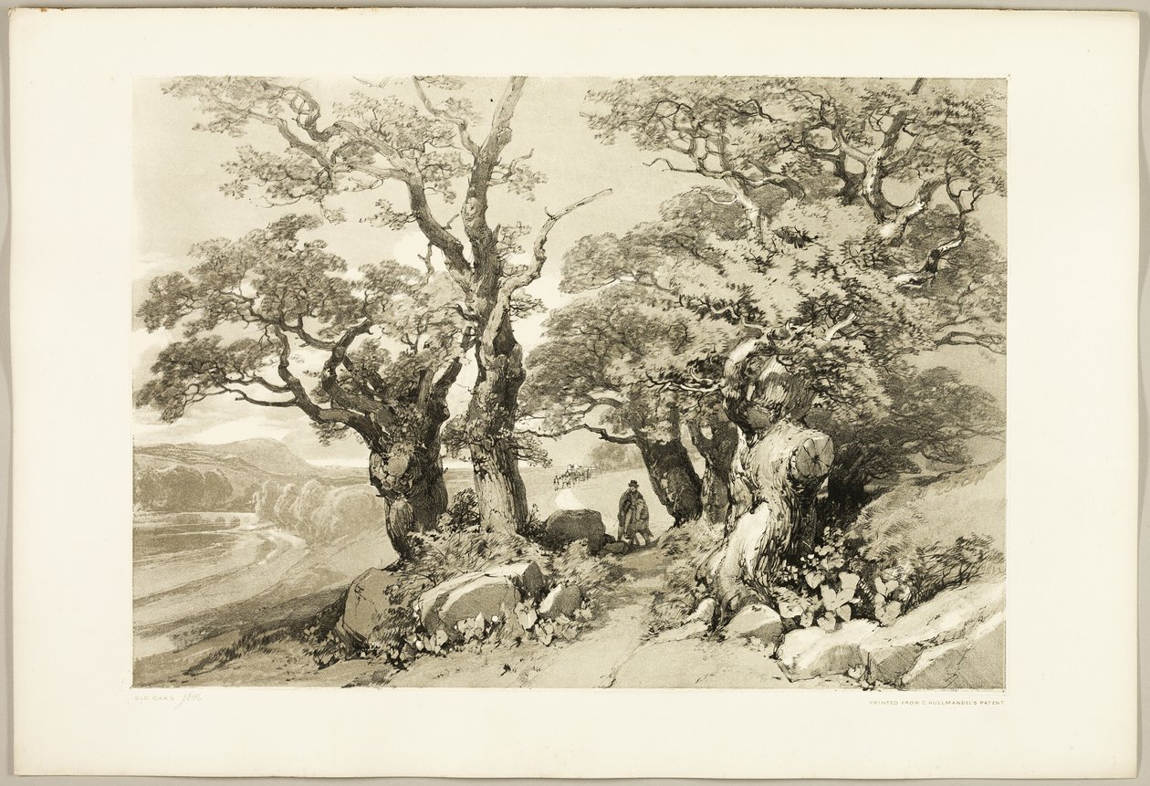 Old Oaks, from The Park and the Forest by James Duffield Harding