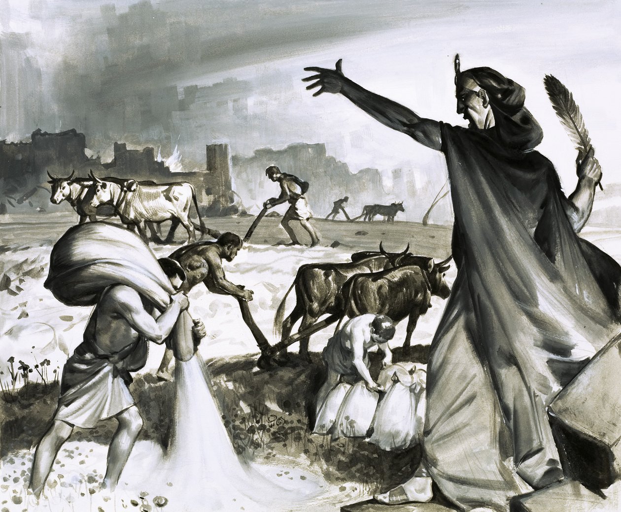 The Rise and Fall of Carthage: The Roman Curse on Carthage by James Edwin McConnell