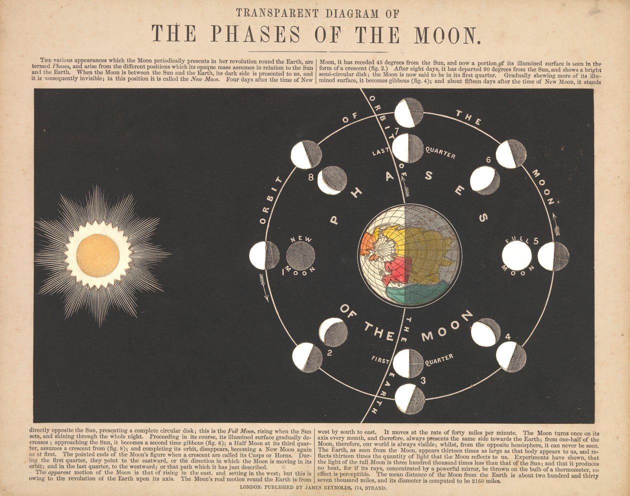 Transparent Diagram of the Phases of the Moon by James & Emslie John (1813 75) Reynolds