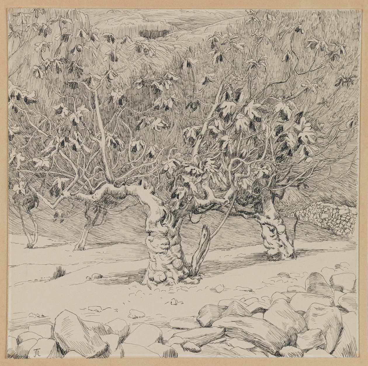 Fig tree, Valley of Hinnom, illustration from The Life of Our Lord Jesus Christ by James Jacques Joseph Tissot